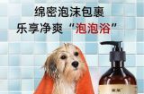 如何正确给宠物狗洗澡，让毛发更健康（掌握洗澡的时间、频率、工具和技巧，让你的爱犬闪耀出美丽光芒）