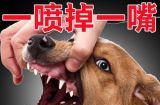 如何给宠物狗清洁牙齿（教你6种有效的清洁方法，让你的狗狗远离口臭和牙齿问题）